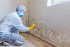 Best Mold Odor Removal Services  in Columbus, OH